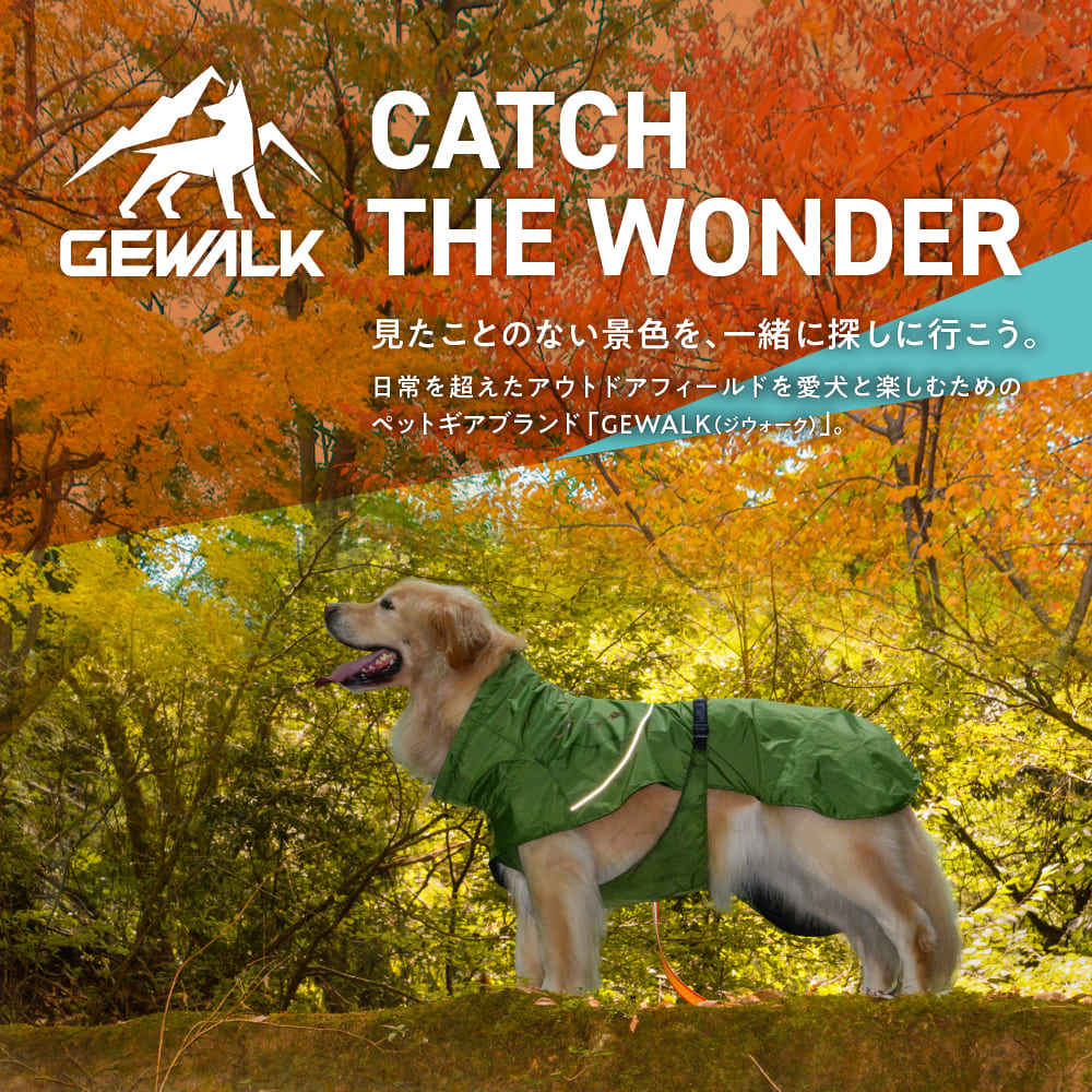 GEWALK THE WONDER