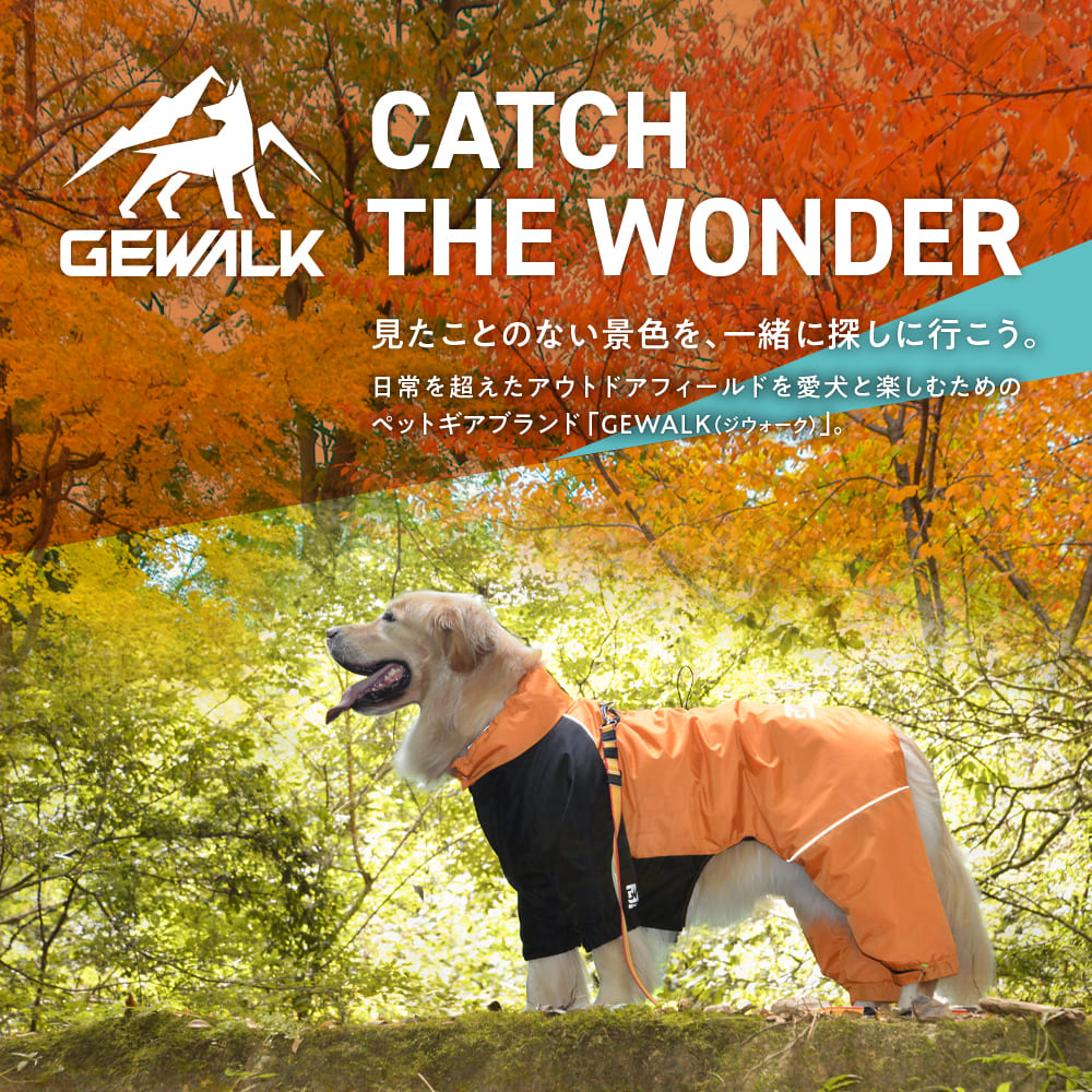GEWALK THE WONDER