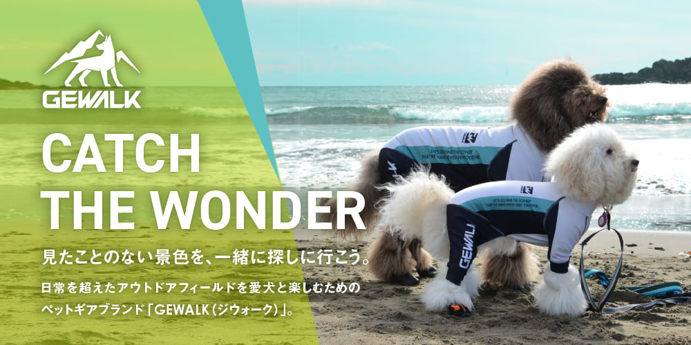 GEWALK