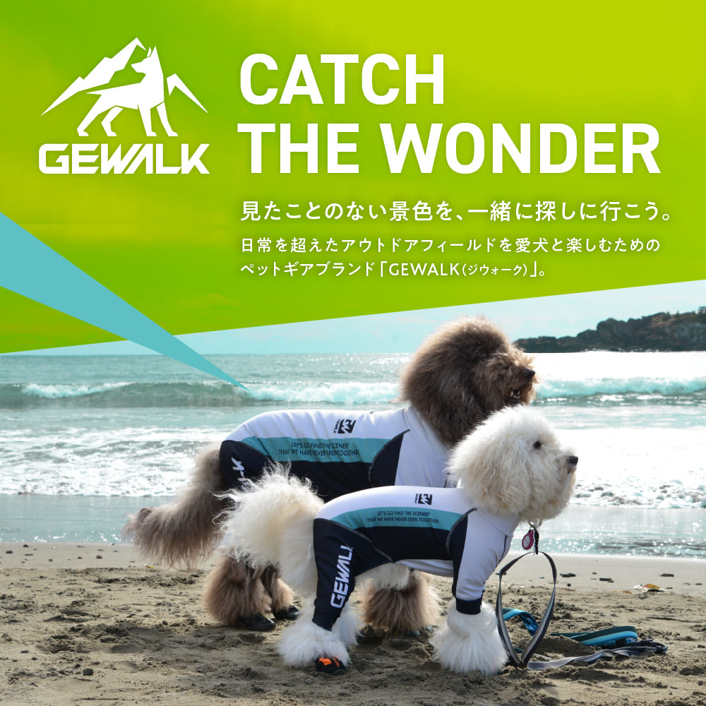 GEWALK THE WONDER