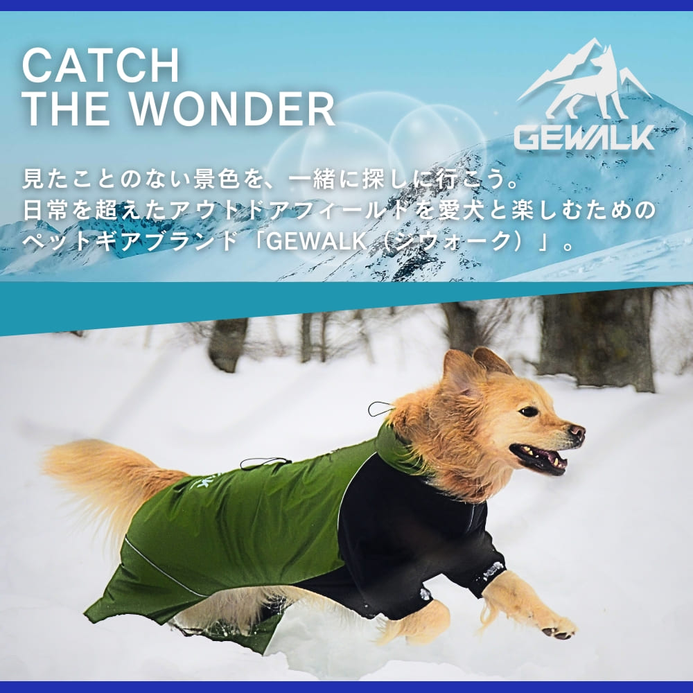 chocolat de vanilla 犬服 水色ストライプ レース裾 GG MADE IN TOKYO