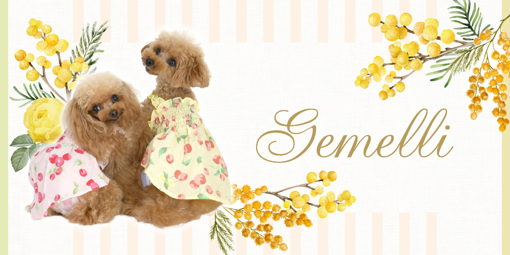 Gemelli