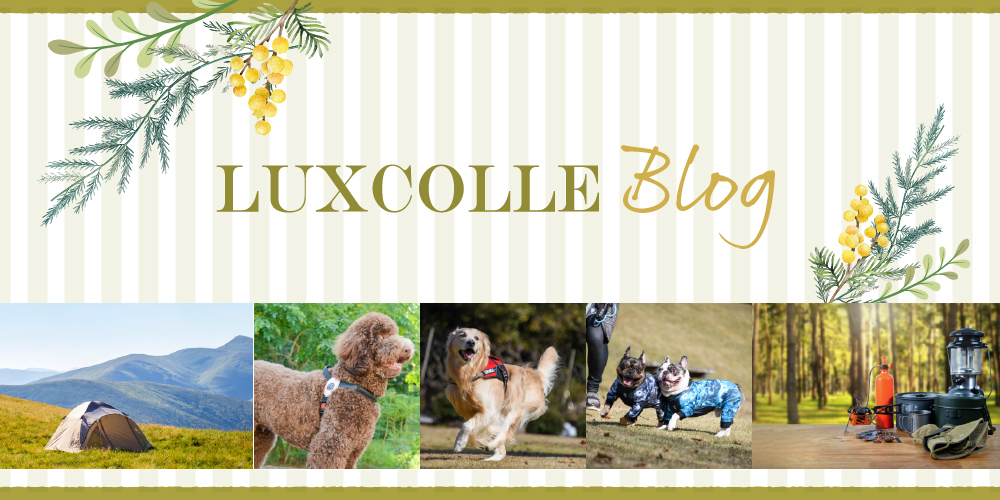 LUXCOLLE（ラグコレ）｜公式オンラインストア