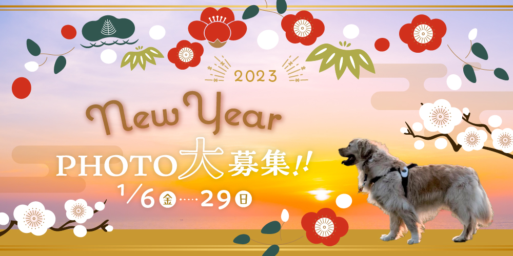 NEW YEAR PHOTO 大募集！