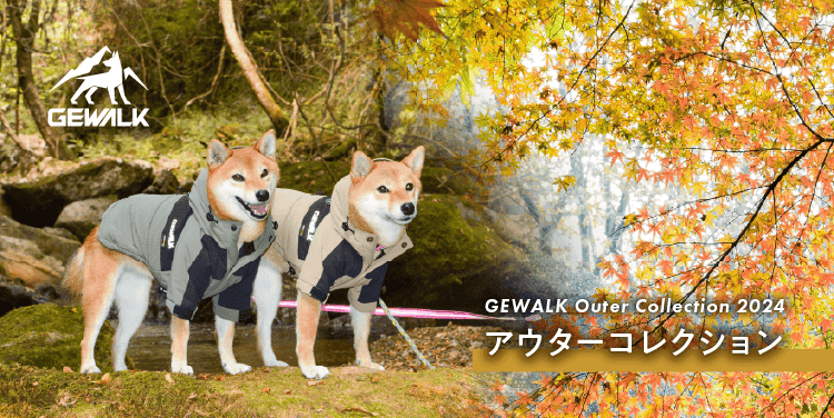 GEWALK ROMPERS