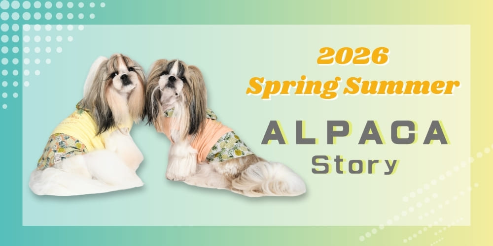 ALPACA Story
（アルパカストーリー）