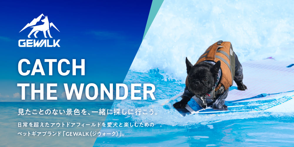 GEWALK THE WONDER