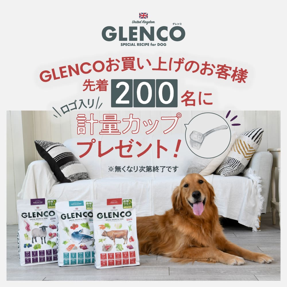GLENCO プレゼントキャンペーン｜先着２００名様