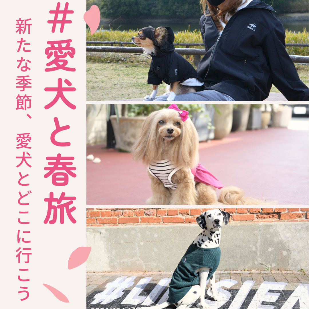 BONNIE&CO. 2024春夏新発売!!