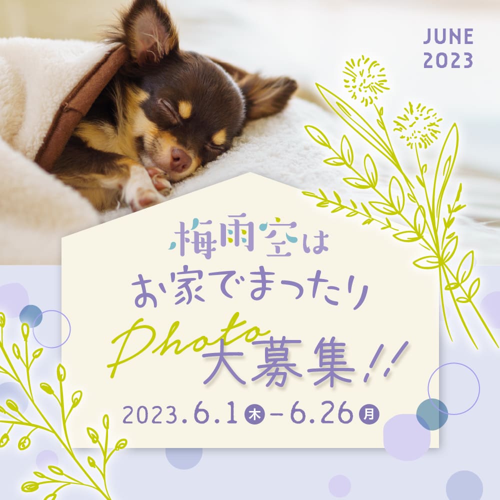 6月PHOTO大募集！｜梅雨のおうち時間