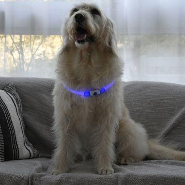 LEDセーフティフラッシュネックリング【S】 | LUXCOLLE（ラグコレ