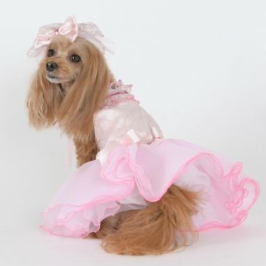 BONNIE&CO ボニーアンドコー　ドレス ボニー ボーテ | LUXCOLLE（ラグコレ）｜公式オンラインストア