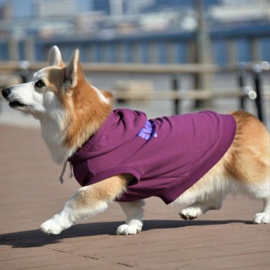 値下げ購入本日まで　JSF GBB フーディー　XLサイズ 値下げ購入本日まで JSF GBB フーディー XLサイズ 値下げ購入本日まで