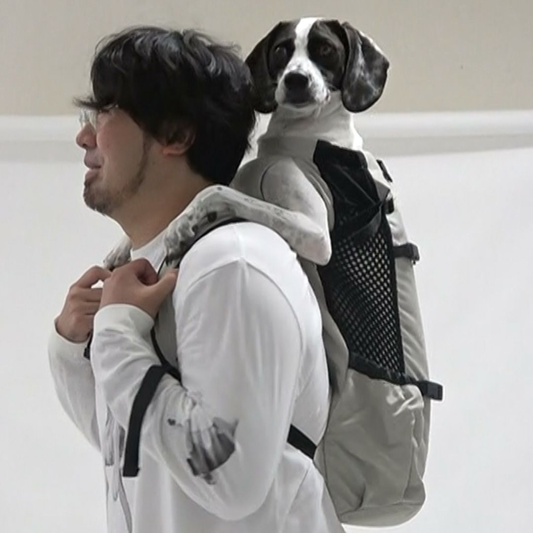 K9 スポーツサック エアー 2 （Air 2) 【XS S M L】 | LUXCOLLE