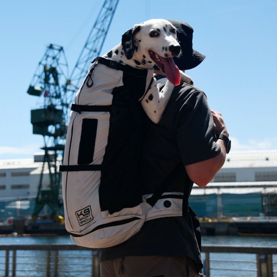 K9 Sport Sack AIR (K9スポーツサックエアー) Black - 犬用品