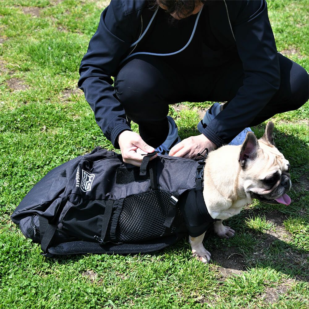 K9 スポーツサックナビゲート（Knavigate）【XS S M L XL】 | LUXCOLLE