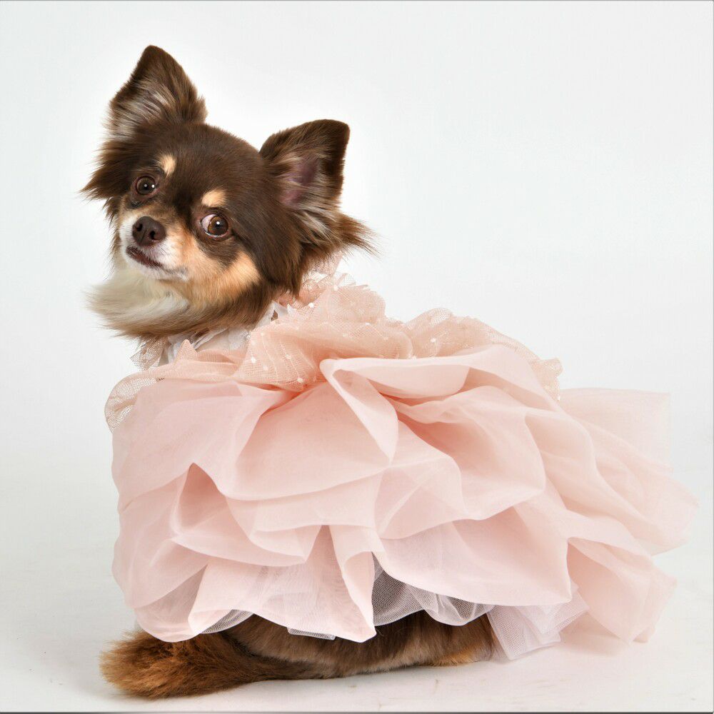 Bonnie Cheri -ボニー シェリ- | LUXCOLLE（ラグコレ）｜公式