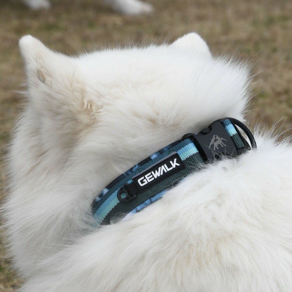 GEWALK大型犬・中型犬 おすすめカラー（首輪）3選！ - LUXCOLLE