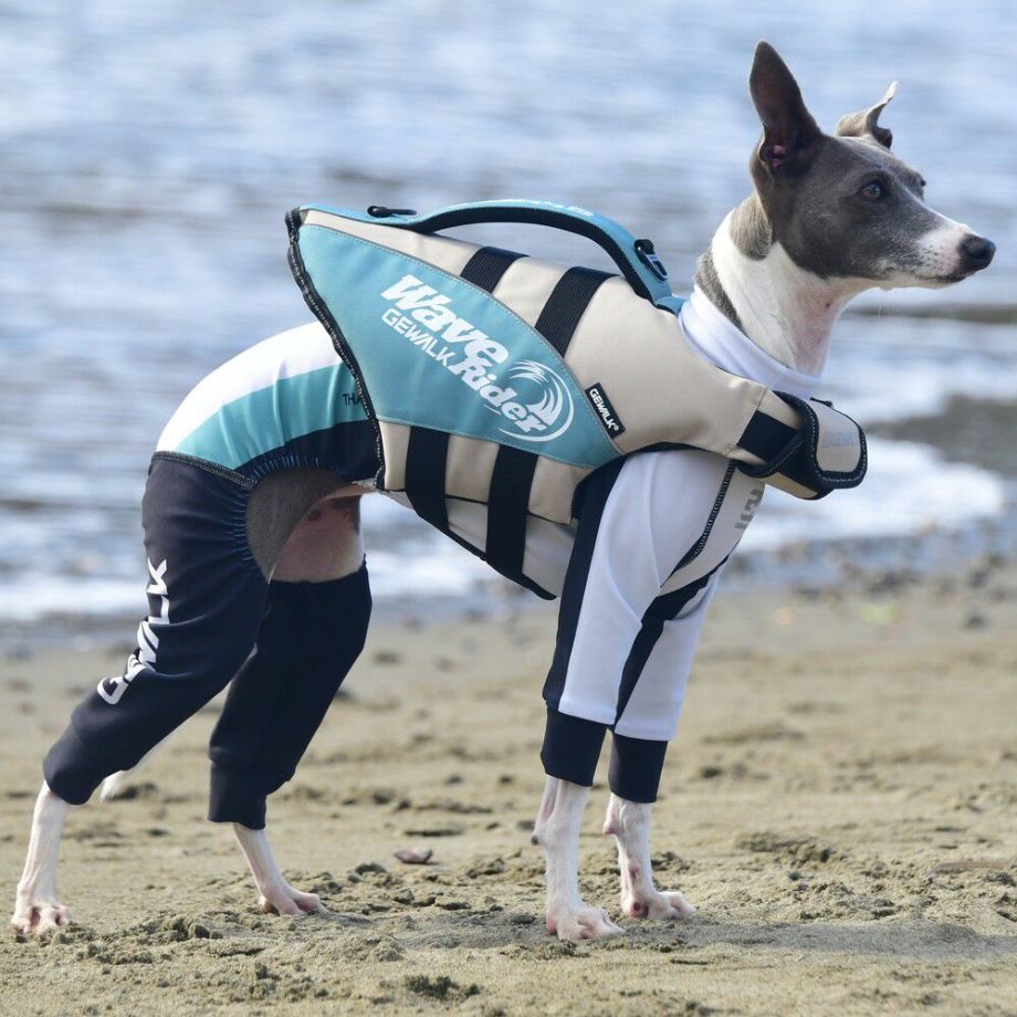 ウェーブライダー エコ ライフジャケット 犬用 【Sサイズ