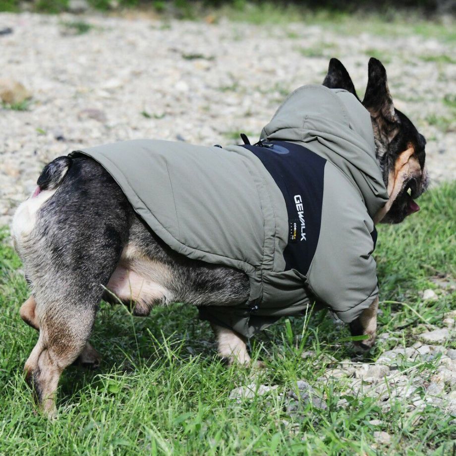 バカラのブルドック バカラのブルドック KAWASAKI Z1／No.018｜BULL DOCK(ブルドック