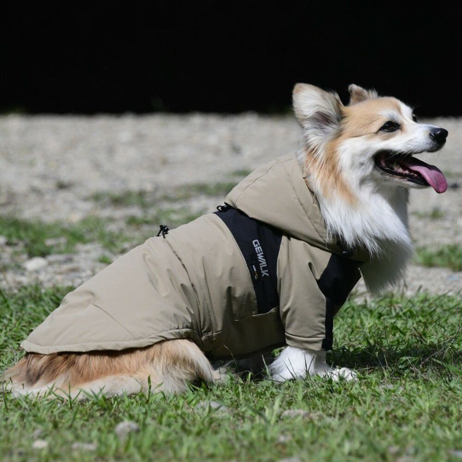 motto_kuma / CORDURA サンドベージュ motto_kuma / CORDURA サンドベージュ