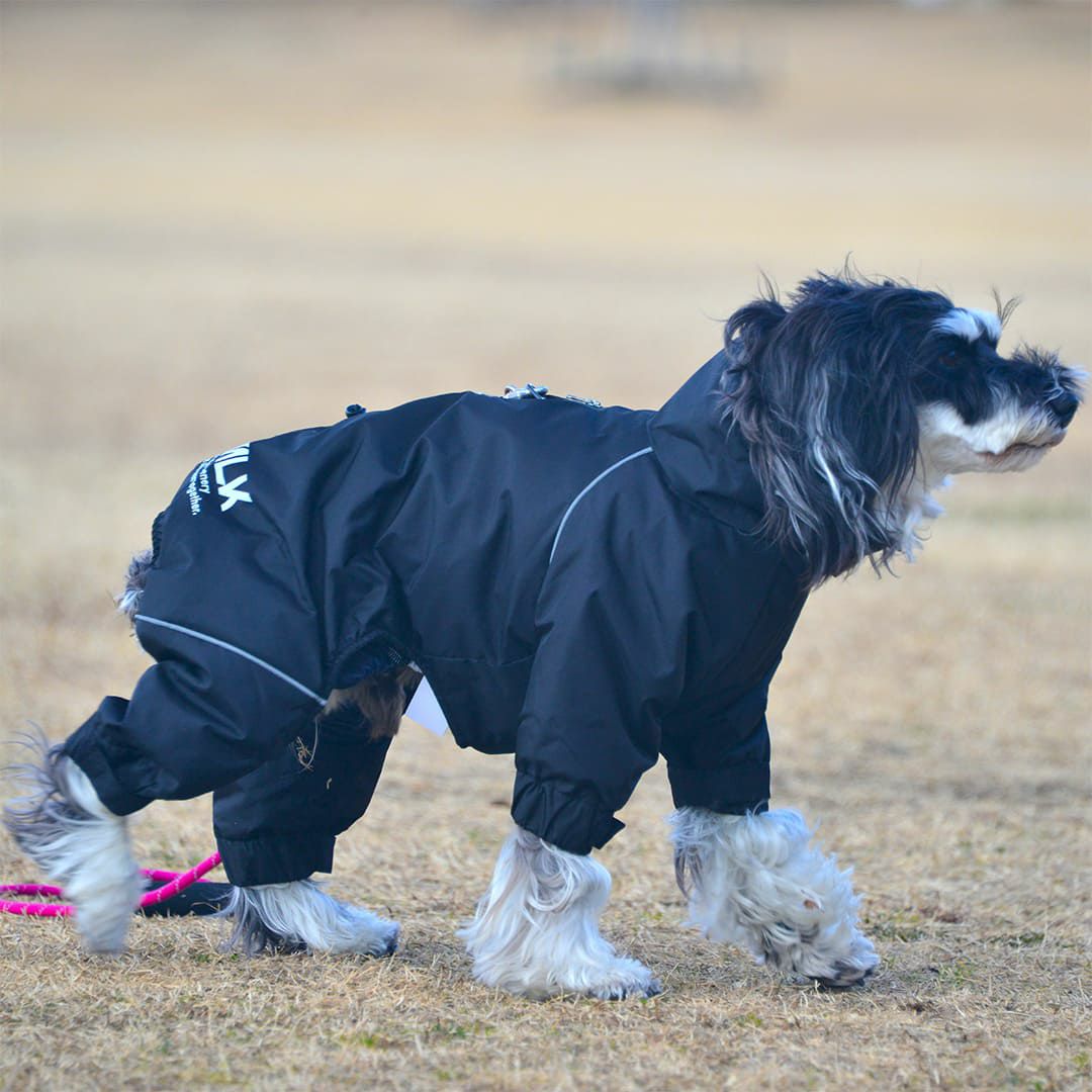 DRIZZLE THERMAL OVERALL 【L】 中綿入り撥水ワンピースジャケット