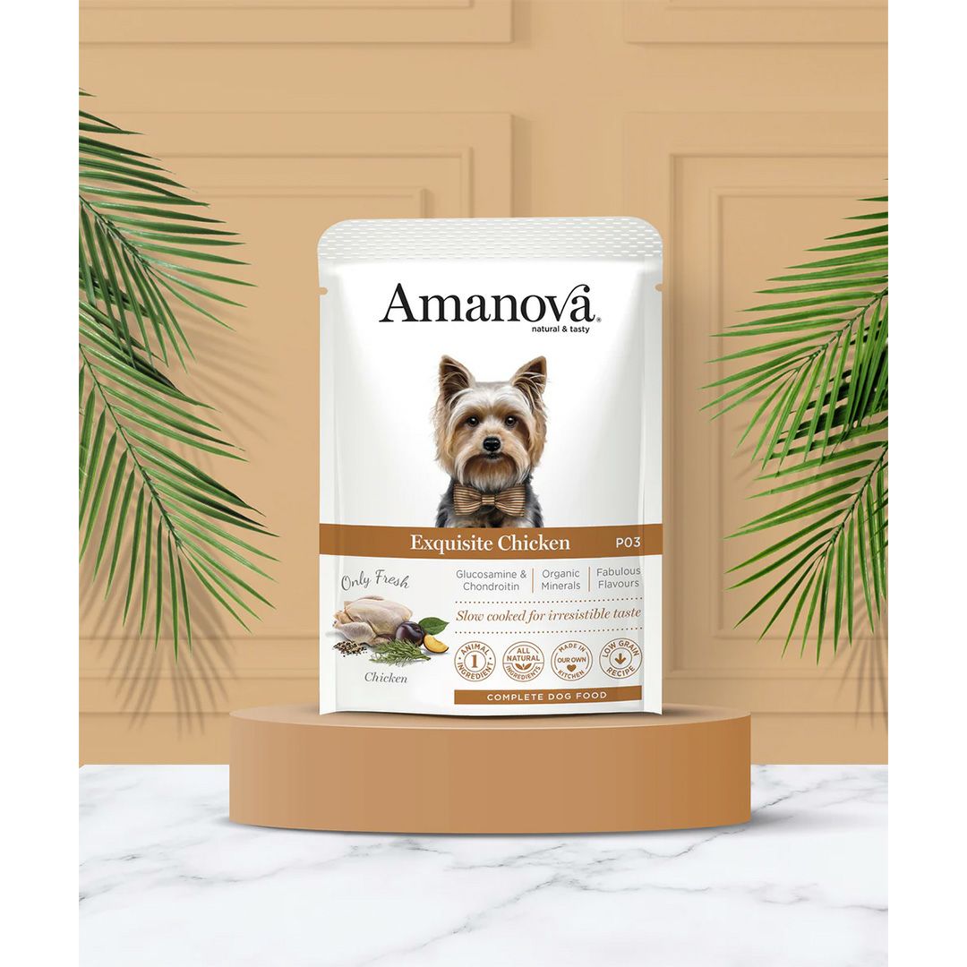 LAM317 パウチ アダルト テイスティ サーモン アンド ターキー（成犬用