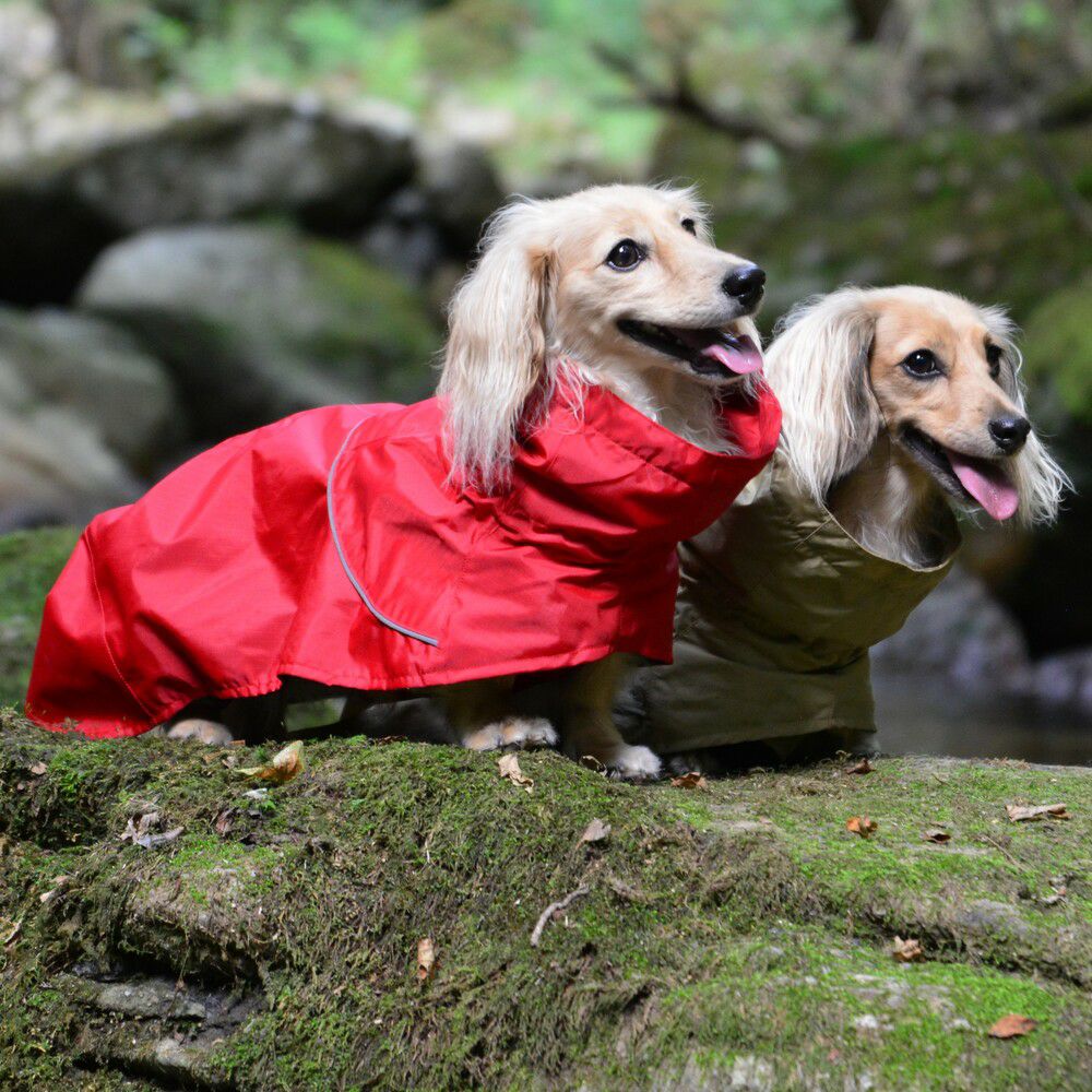 DRIZZLE THERMAL OVERALL 【DM】ダックスサイズ 中綿入り撥水