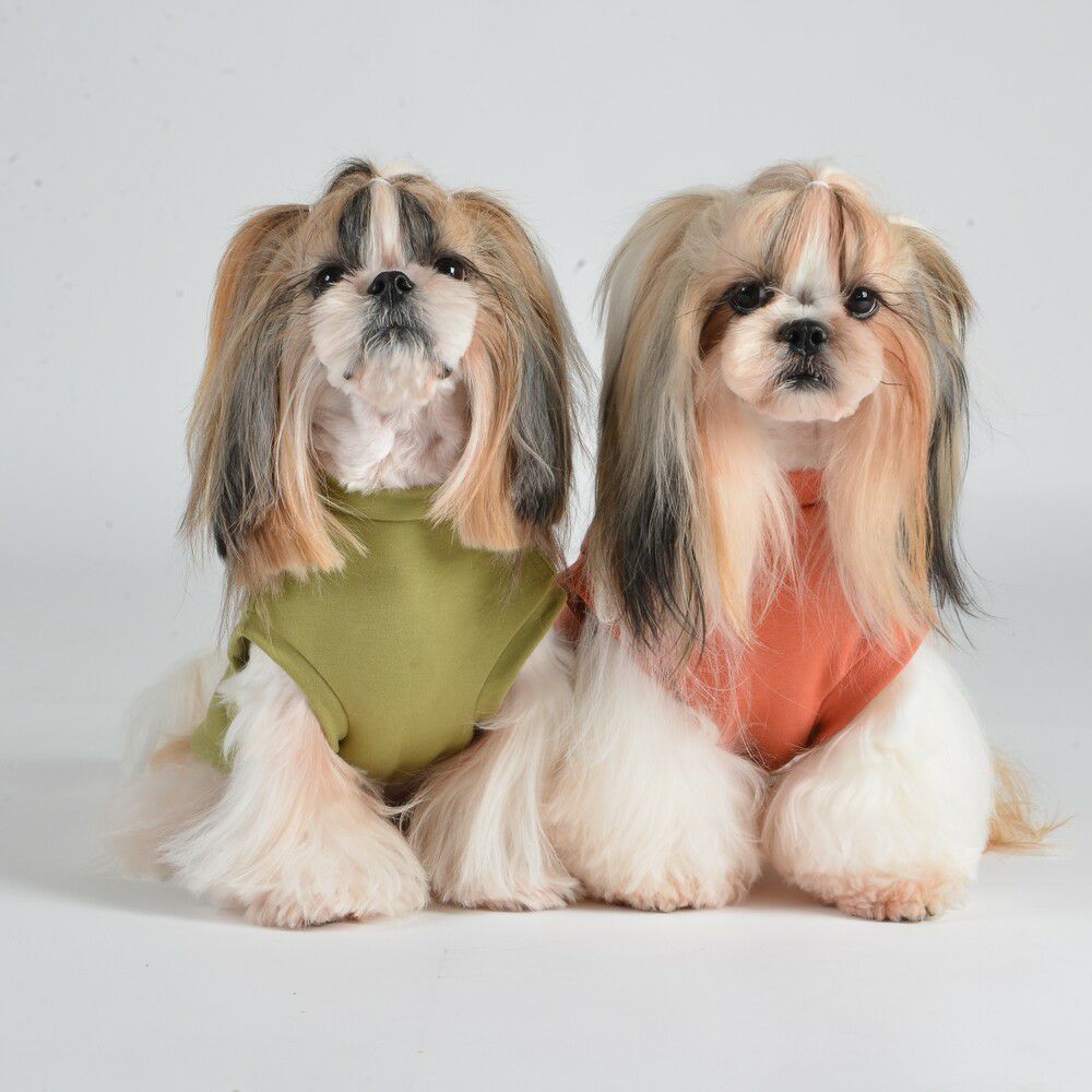 ALPACA Story】LUXCOLLE ONLINESTOREに新登場！ - LUXCOLLE