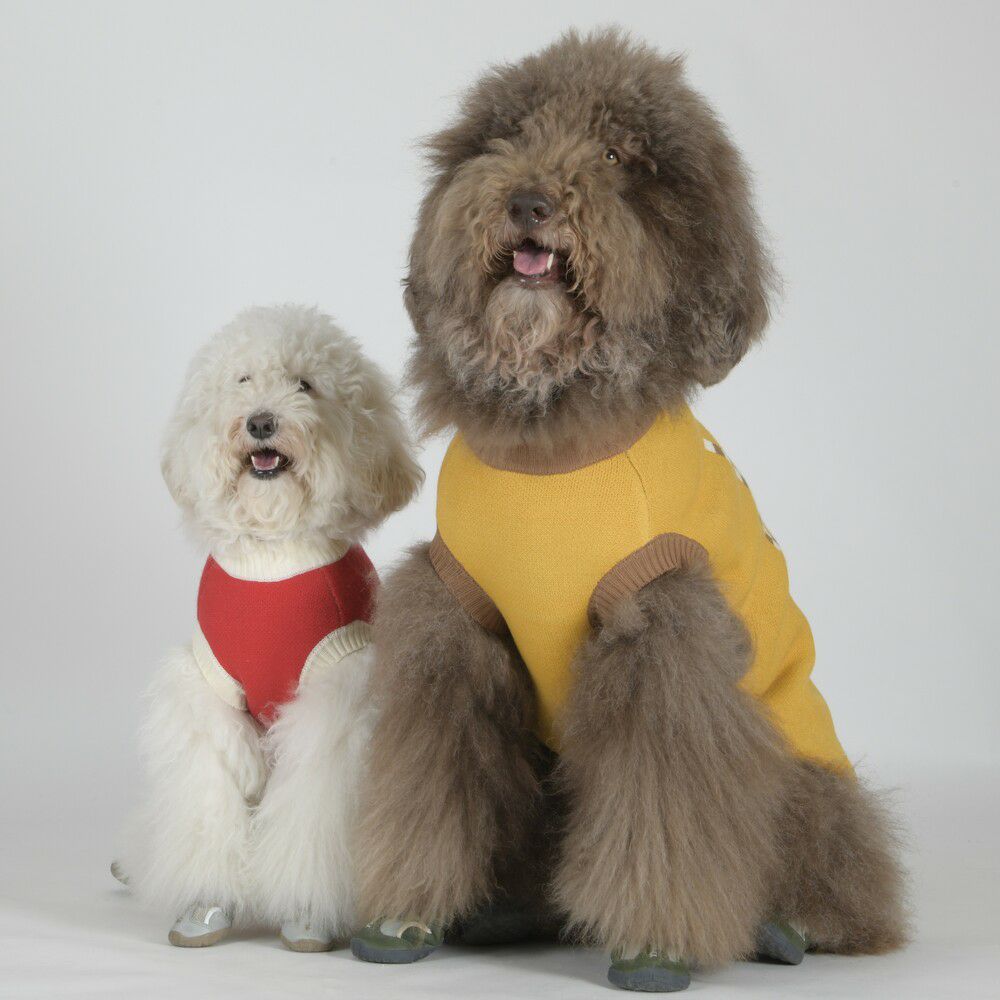 ALPACA Story】LUXCOLLE ONLINESTOREに新登場！ - LUXCOLLE